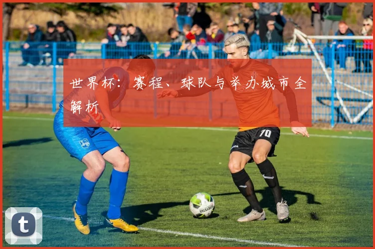 世界杯：赛程、球队与举办城市全解析