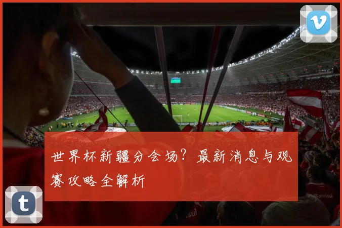 世界杯新疆分会场？最新消息与观赛攻略全解析