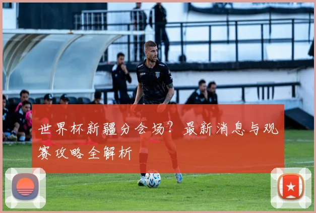 世界杯新疆分会场？最新消息与观赛攻略全解析
